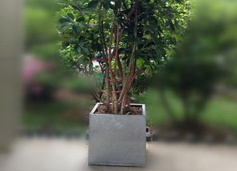 镀锌花盆